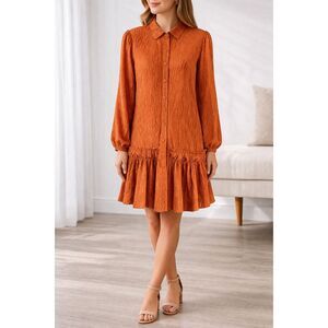 Cotton Poplin Taylor Tillman Harper Long Sleeve Shirt Dress Brown S